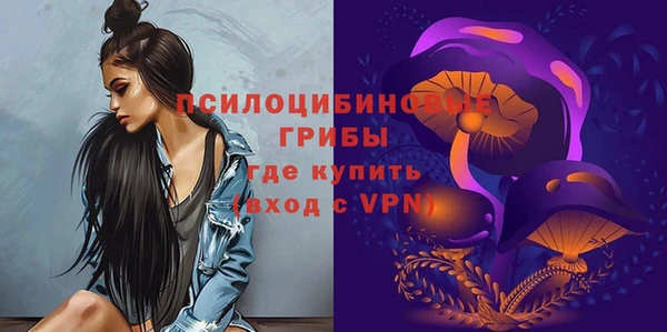 MDMA Premium VHQ Медвежьегорск